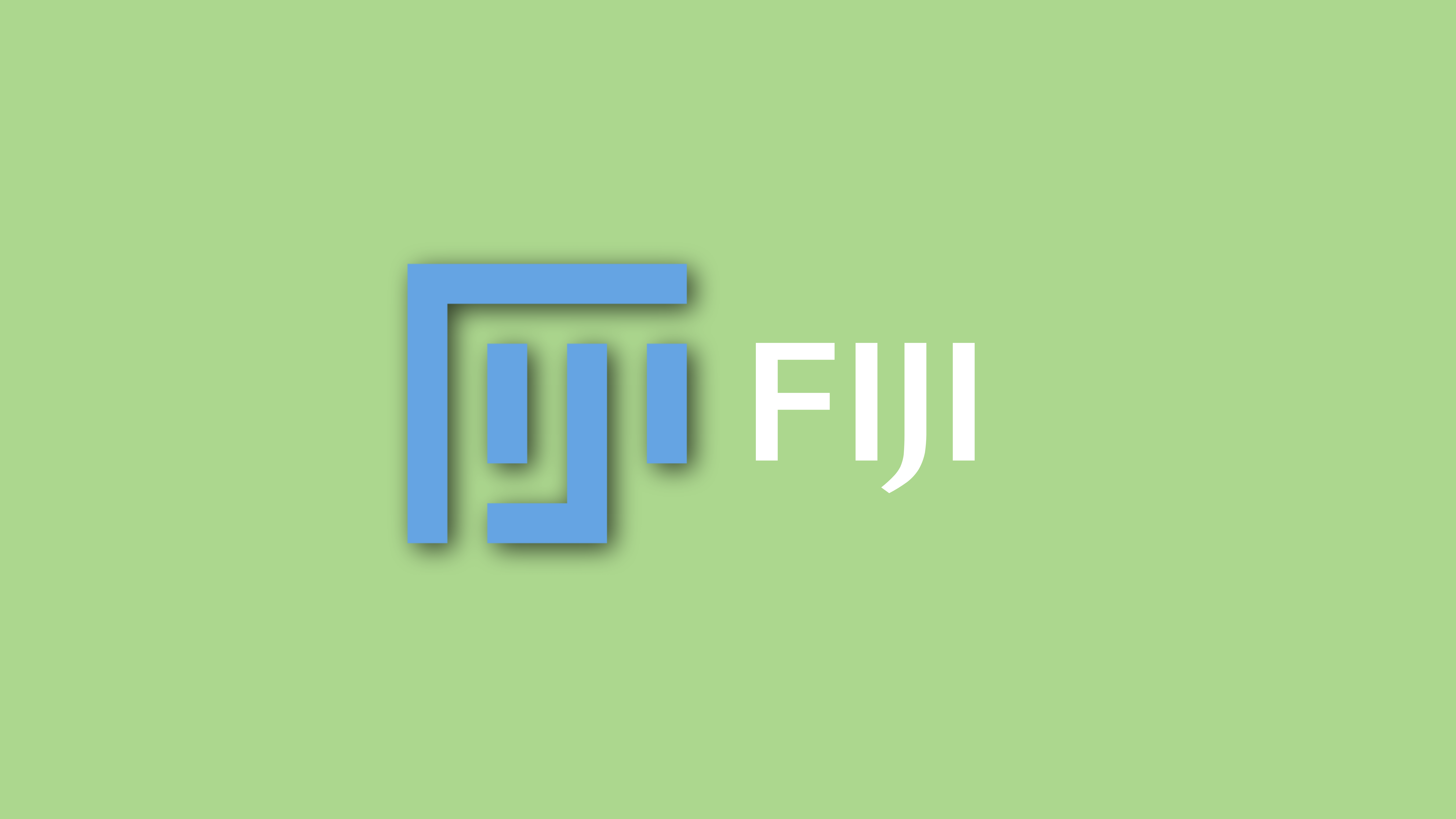 Fiji小记：批量进行多张免疫荧光图象的共表达分析